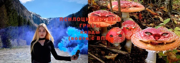 apvp Абдулино