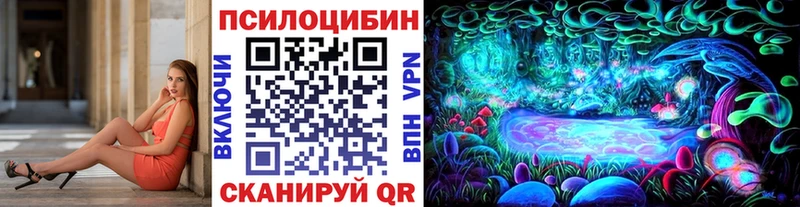 Галлюциногенные грибы Psilocybe  Ленинградская 